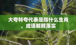 大夸特夸代表是指什么生肖，成语解释落实