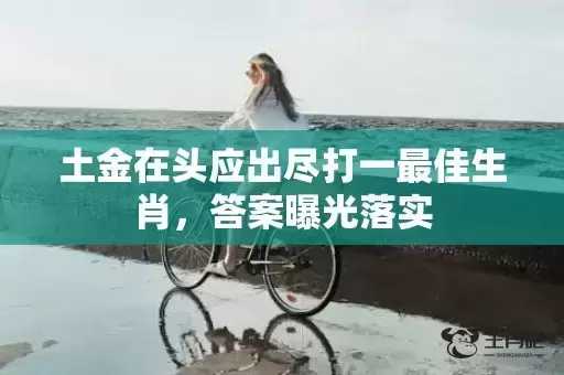 土金在头应出尽打一最佳生肖，答案曝光落实