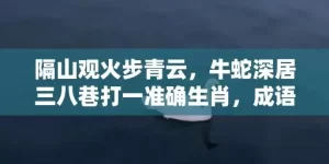 隔山观火步青云，牛蛇深居三八巷打一准确生肖，成语解释落实