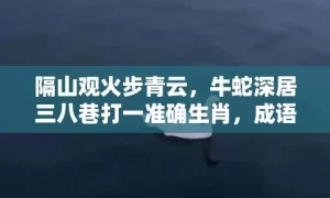 隔山观火步青云，牛蛇深居三八巷打一准确生肖，成语解释落实