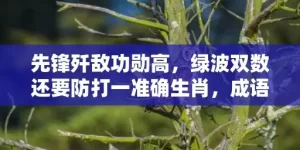 先锋歼敌功勋高，绿波双数还要防打一准确生肖，成语解释落实