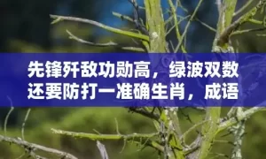 先锋歼敌功勋高，绿波双数还要防打一准确生肖，成语解释落实