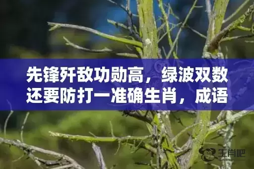 先锋歼敌功勋高，绿波双数还要防打一准确生肖，成语解释落实