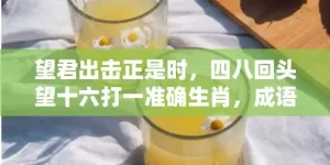 望君出击正是时，四八回头望十六打一准确生肖，成语解释落实