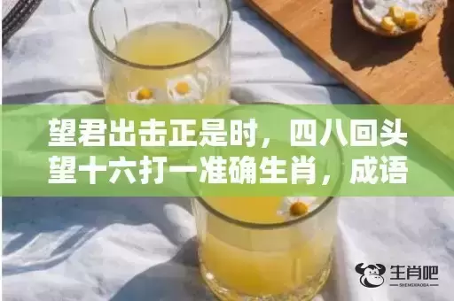 望君出击正是时，四八回头望十六打一准确生肖，成语解释落实