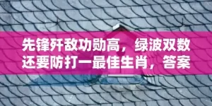 先锋歼敌功勋高，绿波双数还要防打一最佳生肖，答案曝光落实