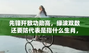 先锋歼敌功勋高，绿波双数还要防代表是指什么生肖，成语解释落实