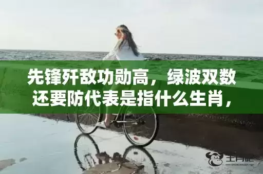 先锋歼敌功勋高，绿波双数还要防代表是指什么生肖，成语解释落实