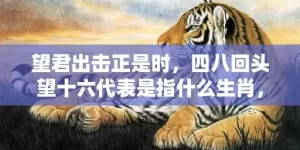 望君出击正是时，四八回头望十六代表是指什么生肖，成语解释落实