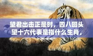 望君出击正是时，四八回头望十六代表是指什么生肖，成语解释落实