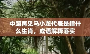 中路再见马小龙代表是指什么生肖，成语解释落实