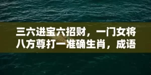 三六进宝六招财，一门女将八方尊打一准确生肖，成语解释落实