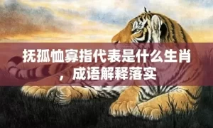 抚孤恤寡指代表是什么生肖，成语解释落实