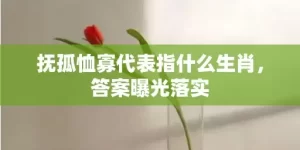 抚孤恤寡代表指什么生肖，答案曝光落实