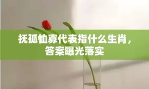 抚孤恤寡代表指什么生肖，答案曝光落实