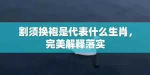 割须换袍是代表什么生肖，完美解释落实