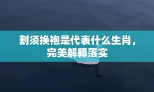 割须换袍是代表什么生肖，完美解释落实