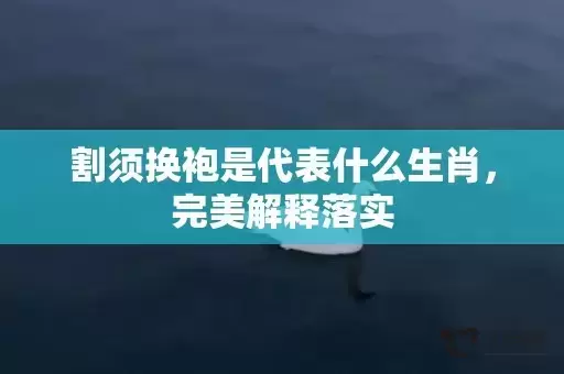 割须换袍是代表什么生肖，完美解释落实