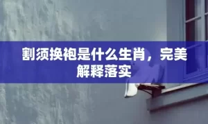 割须换袍是什么生肖，完美解释落实