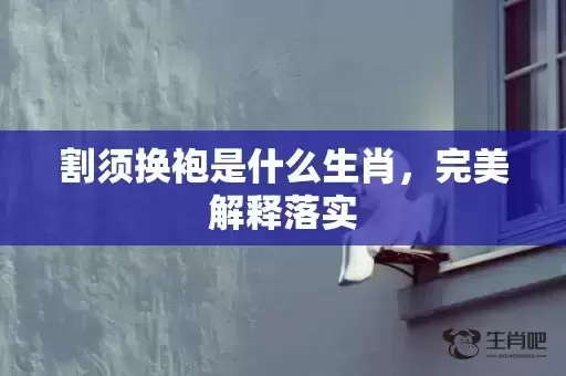 割须换袍是什么生肖,完美解释落实 割须换袍是什么生肖,完美解释落实