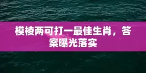 模棱两可打一最佳生肖，答案曝光落实