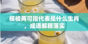 模棱两可指代表是什么生肖，成语解释落实