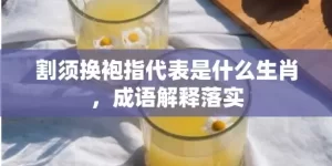 割须换袍指代表是什么生肖，成语解释落实