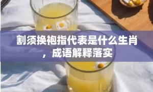 割须换袍指代表是什么生肖，成语解释落实