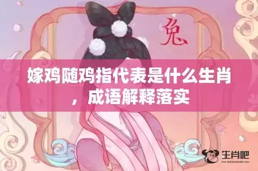 嫁鸡随鸡指代表是什么生肖,成语解释落实 嫁鸡随鸡指代表是什么生肖,成语解释落实