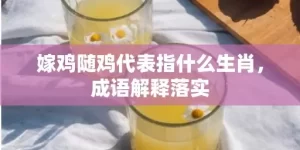 嫁鸡随鸡代表指什么生肖，成语解释落实