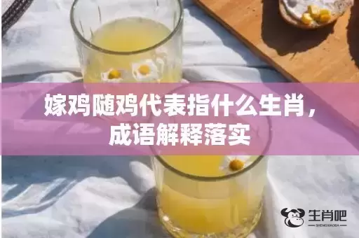 嫁鸡随鸡代表指什么生肖，成语解释落实