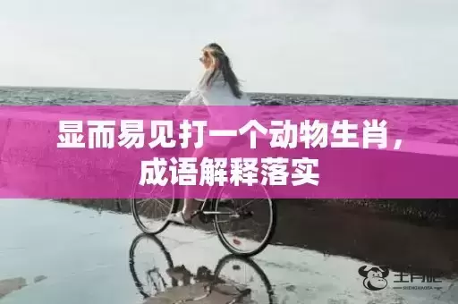 显而易见打一个动物生肖，成语解释落实