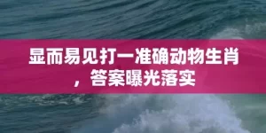 显而易见打一准确动物生肖，答案曝光落实