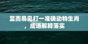 显而易见打一准确动物生肖，成语解释落实