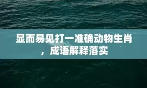 显而易见打一准确动物生肖，成语解释落实