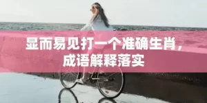 显而易见打一个准确生肖，成语解释落实