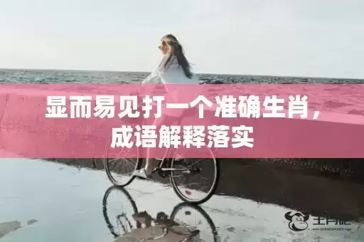 显而易见打一个准确生肖,成语解释落实 显而易见打一个准确生肖,成语解释落实