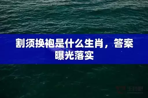 割须换袍是什么生肖,答案曝光落实 割须换袍是什么生肖,答案曝光落实