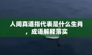 人间真道指代表是什么生肖，成语解释落实