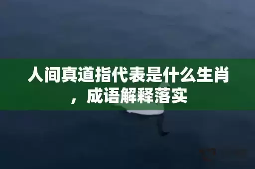 人间真道指代表是什么生肖,成语解释落实 人间真道指代表是什么生肖,成语解释落实