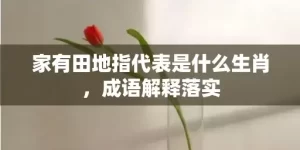 家有田地指代表是什么生肖，成语解释落实