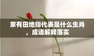 家有田地指代表是什么生肖，成语解释落实