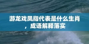 游龙戏凤指代表是什么生肖，成语解释落实