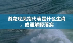 游龙戏凤指代表是什么生肖，成语解释落实