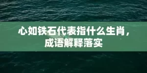 心如铁石代表指什么生肖，成语解释落实