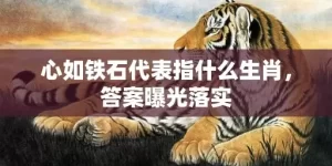 心如铁石代表指什么生肖，答案曝光落实