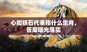 心如铁石代表指什么生肖，答案曝光落实