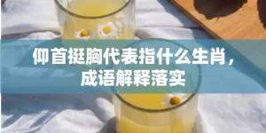 仰首挺胸代表指什么生肖，成语解释落实