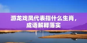 游龙戏凤代表指什么生肖，成语解释落实