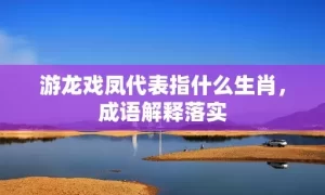 游龙戏凤代表指什么生肖，成语解释落实